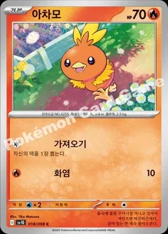Torchic 18