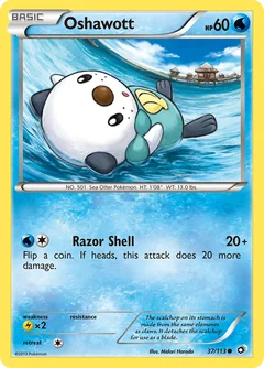 Oshawott 37