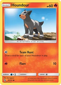 Houndour 45