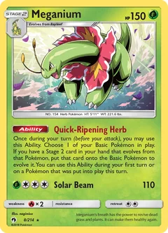 Meganium Reverse Holo 8