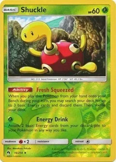 Shuckle Reverse Holo 16