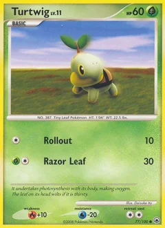 Turtwig 77