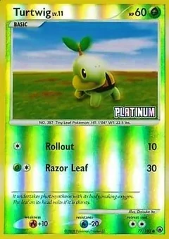 Turtwig Stamped 77 77