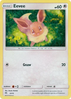 Eevee 12