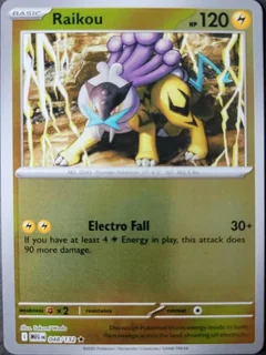 Raikou Reverse Holo 48