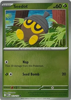 Seedot Reverse Holo 13