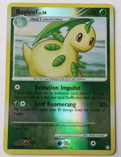 Bayleef Reverse Holo 41