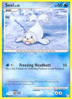 Seel 97