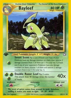 Bayleef 1St Edition 29