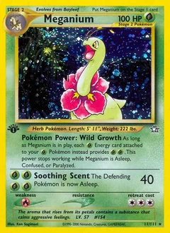 Meganium 1St Edition 11