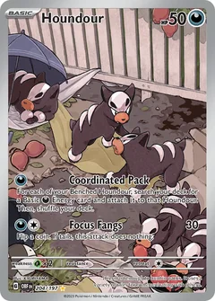 Houndour 204