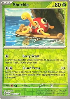 Shuckle Reverse Holo 5