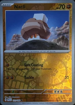 Nacli Reverse Holo 121