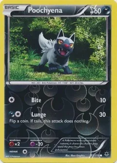 Poochyena Reverse Holo 53