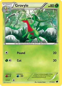 Grovyle 7