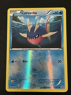 Carvanha Reverse Holo 32