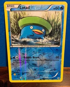 Lotad Reverse Holo 29
