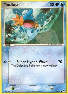 Mudkip Holo 11