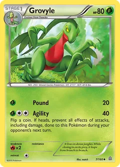Grovyle 7