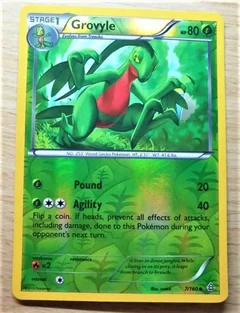 Grovyle Reverse Holo 7