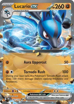 Lucario Stamped 51