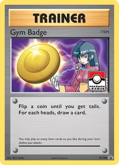 Gym Badge Xy208