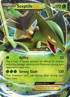 Sceptile Ex Xy53