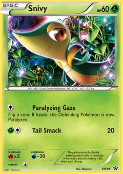 Snivy Bw06