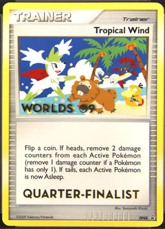 Tropical Wind Quarter Finalist Dp48