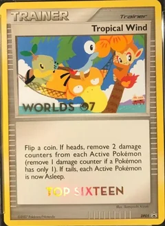 Tropical Wind Top Sixteen Dp05