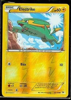 Electrike Reverse Holo 24