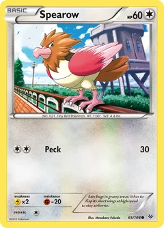 Spearow 65