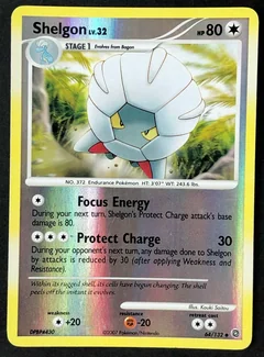 Shelgon Reverse Holo 64