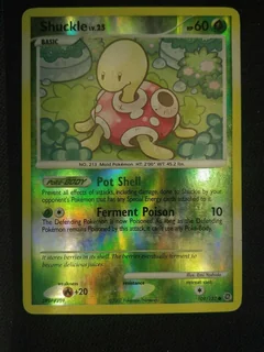Shuckle Reverse Holo 109
