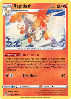 Rapidash Holo 22