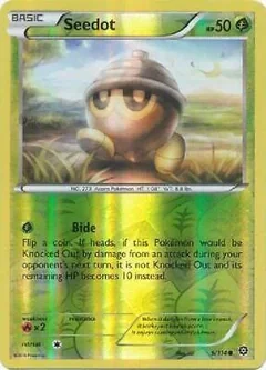 Seedot Reverse Holo 9