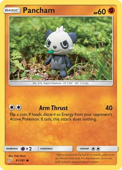 Pancham 81