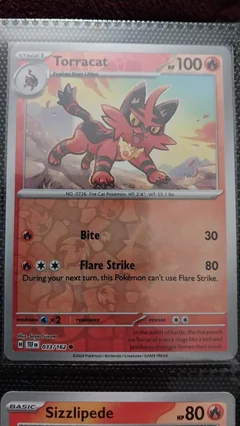 Torracat Reverse Holo 33