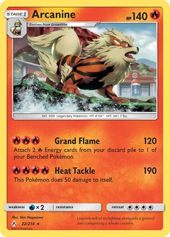 Arcanine 22
