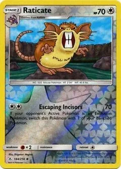 Raticate Reverse Holo 144