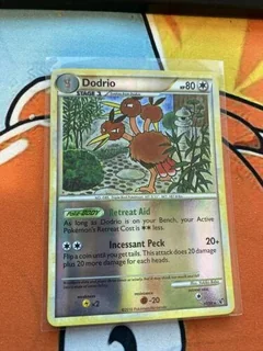 Dodrio Reverse Holo 11