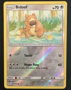 Bidoof Reverse Holo 171