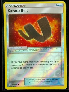 Karate Belt Reverse Holo 201
