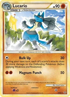 Lucario 19