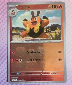 Pignite Master Ball 12