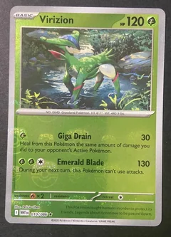 Virizion Master Ball 10