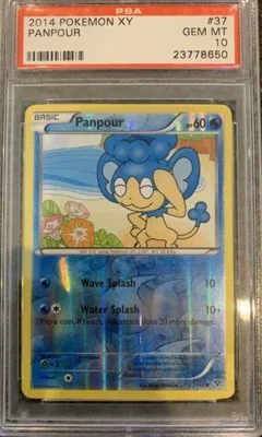 Panpour Reverse Holo 37