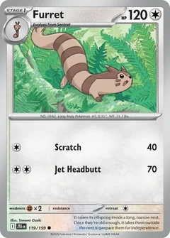 Furret