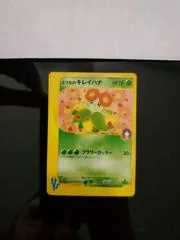 エリカのベロッソム