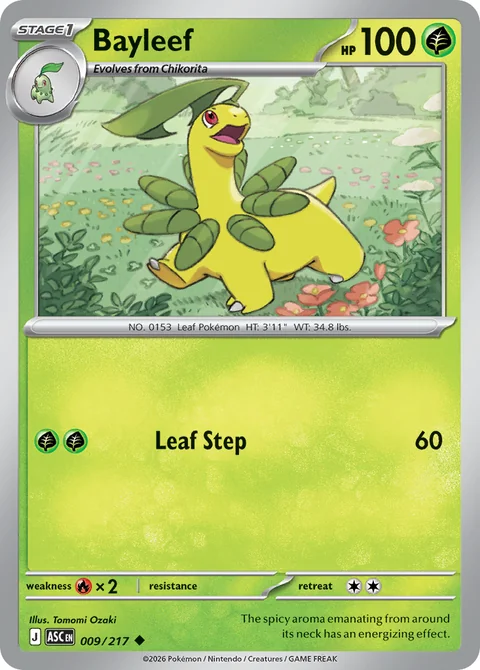 Bayleef Energy